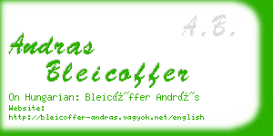 andras bleicoffer business card